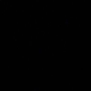 Meet your Posher, Preston